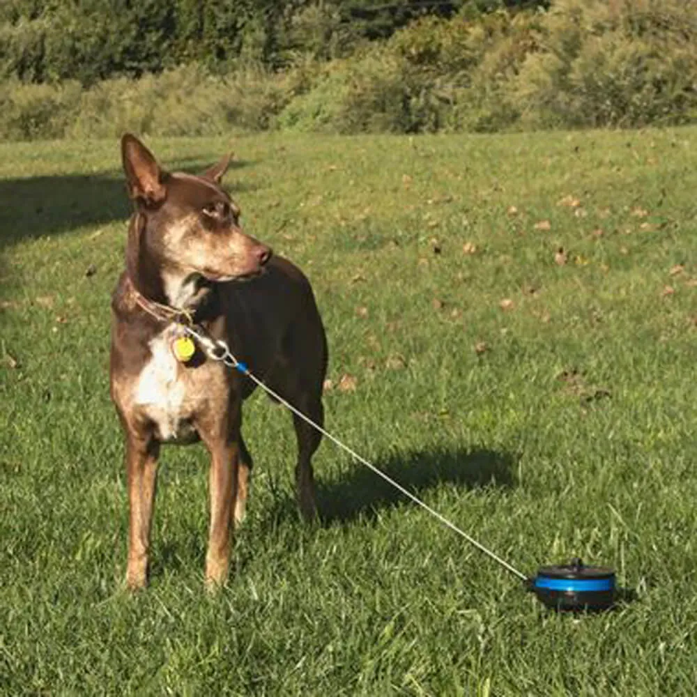 Lixit Retractable Cable Tie Out for Dogs