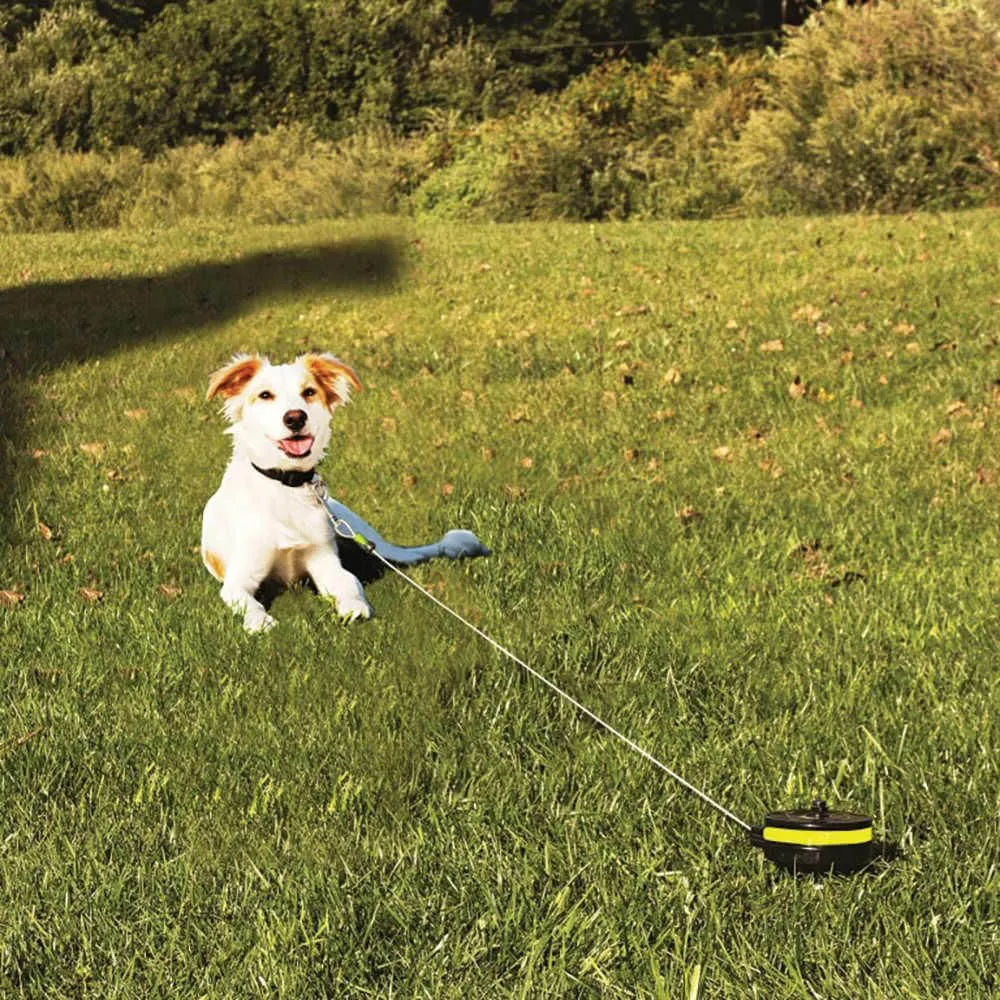 Lixit Retractable Cable Tie Out for Dogs