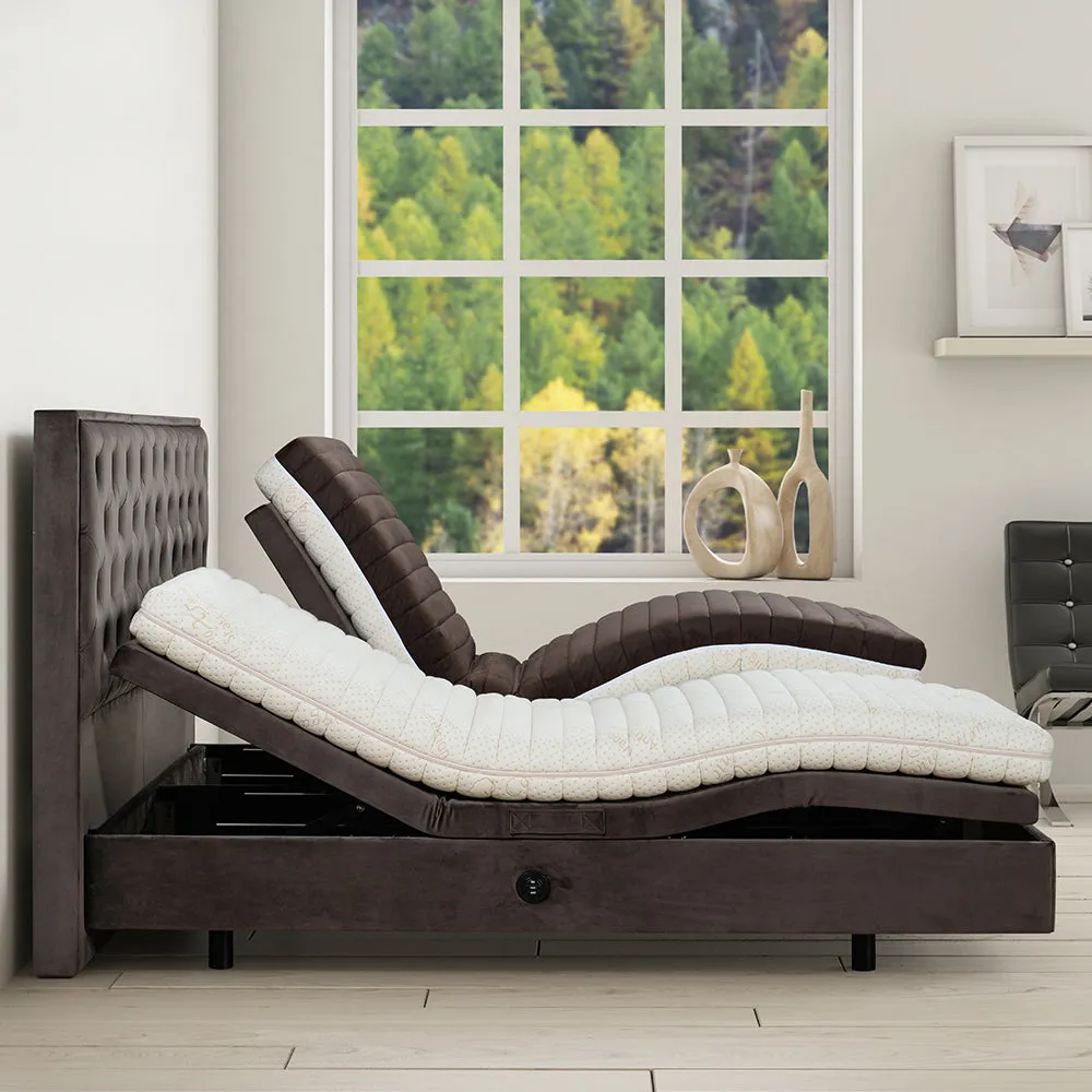 Oxford Adjustable Bed IV