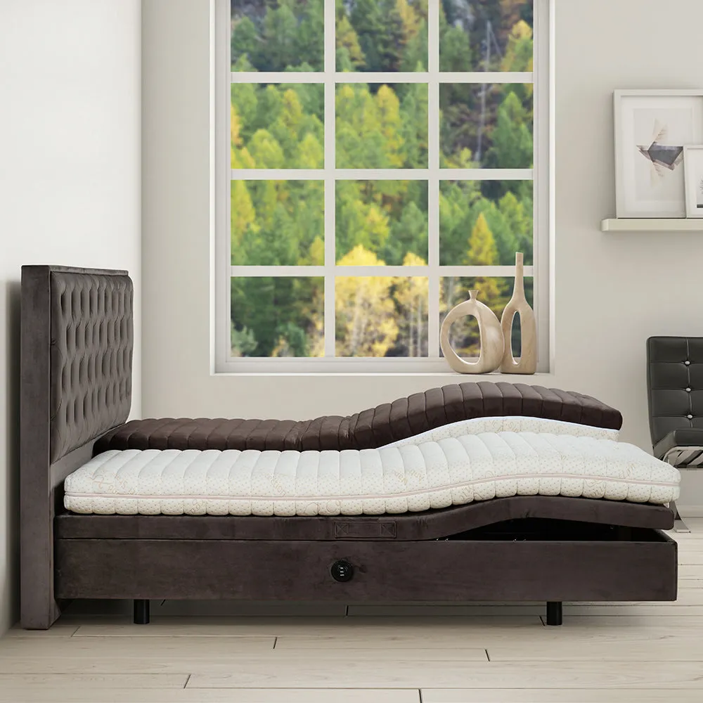 Oxford Adjustable Bed IV