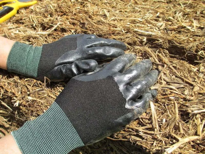 Weeding Gloves