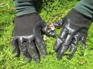 Weeding Gloves